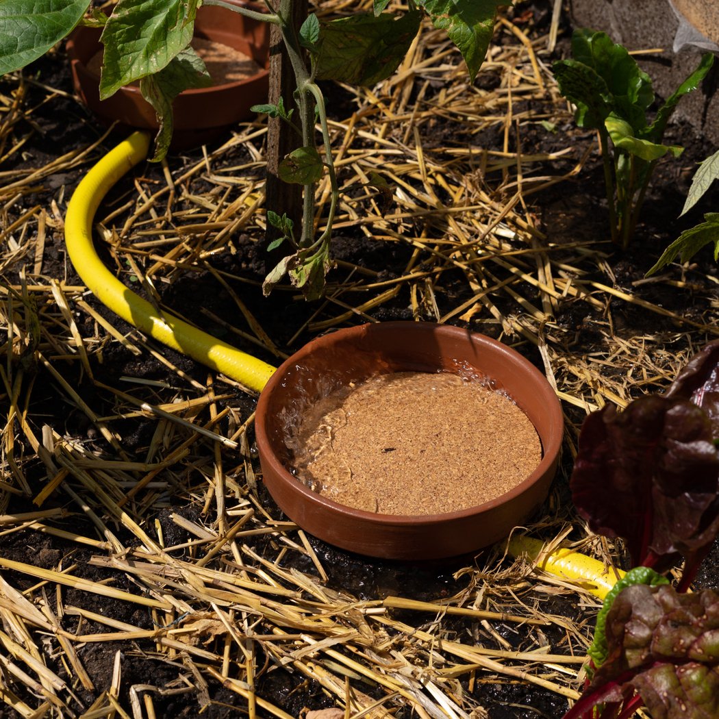 ATELIER – FABRICATION D’UN SYSTÈME D’IRRIGATION PAR OYAS 1