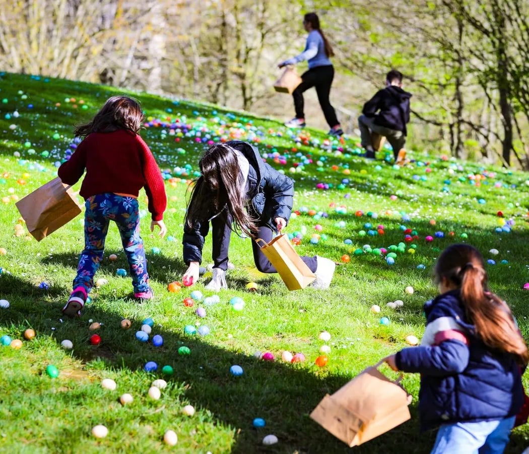 Holi at the Jardin d'Acclimatation 1