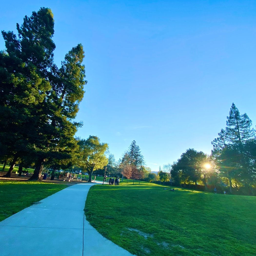 Blossom Hill Park 1