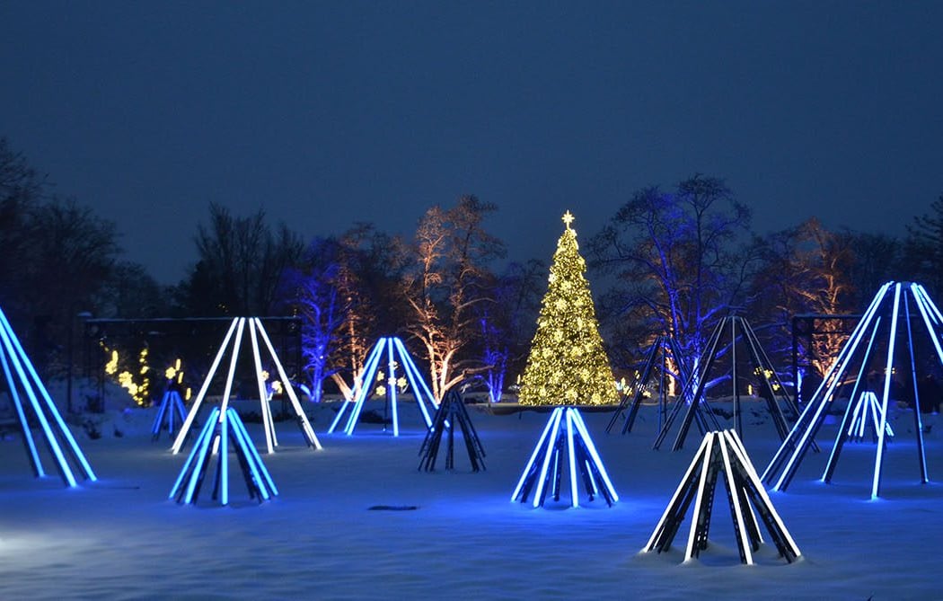 Scouting Night at Christmas at Cantigny 1