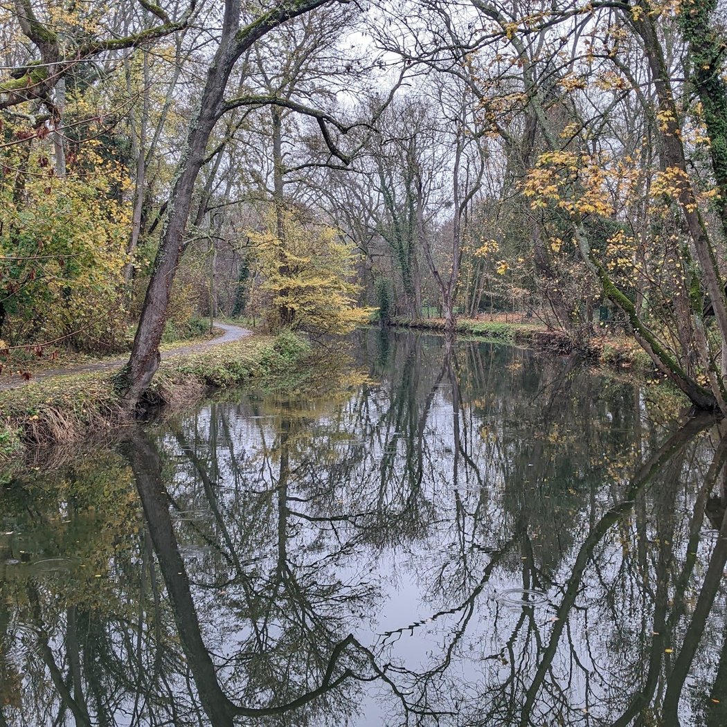 Bords de l'Yerres 3