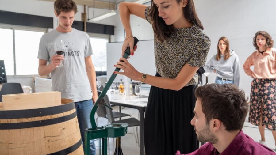 Domaine La Bouche du Roi 2