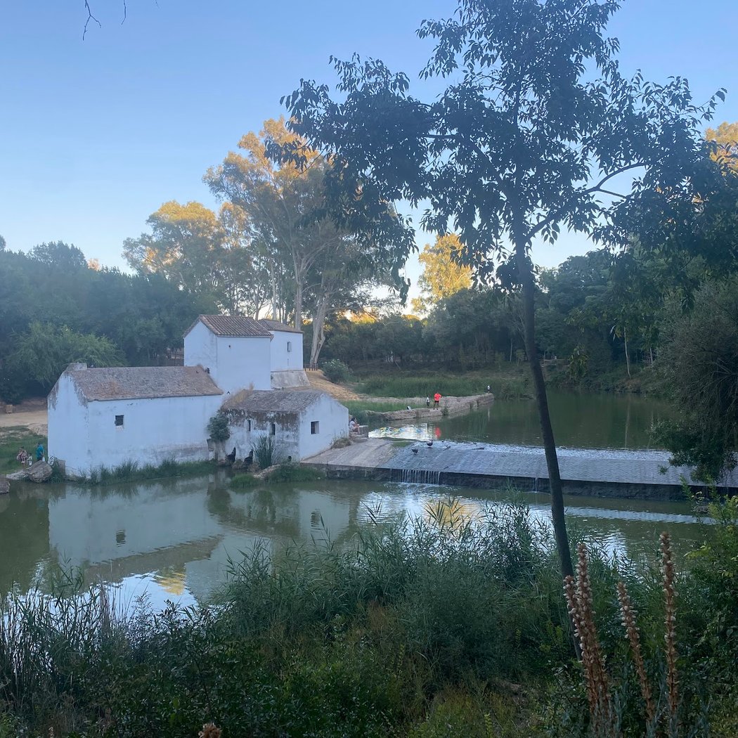 Molinos Alcalá 2