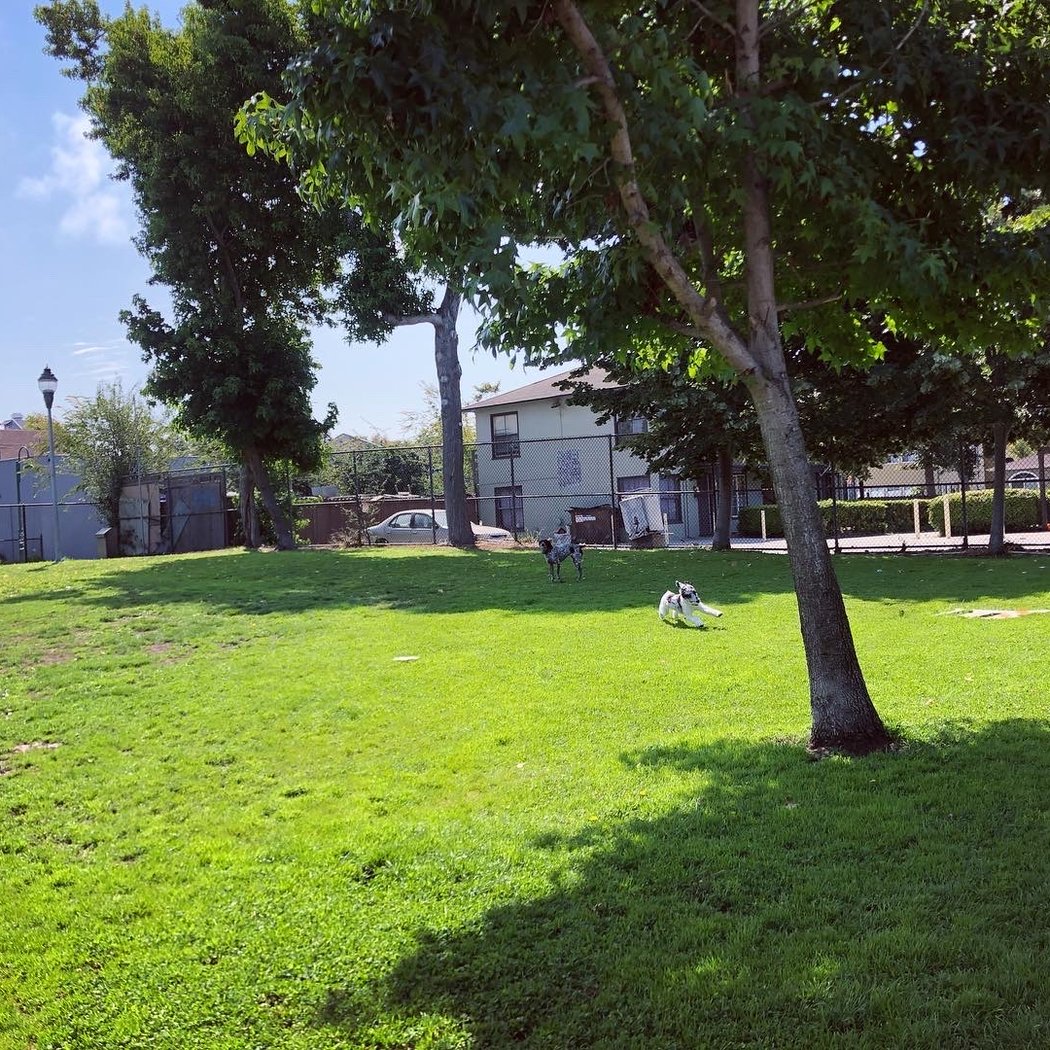 Berkeley Way Mini-Park 1