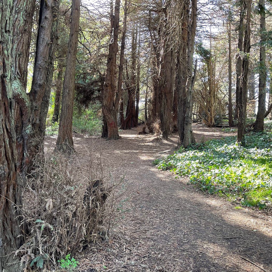 Group Picnic Area A West 3