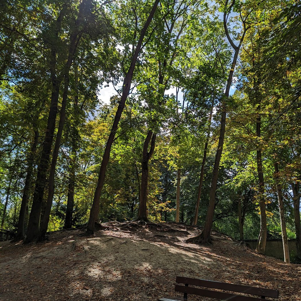 Parc Semallé 3