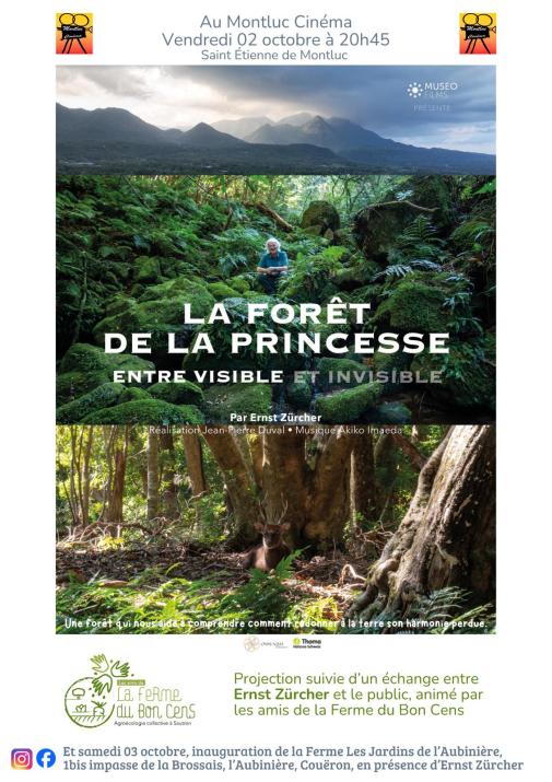 La forêt de la princesse
