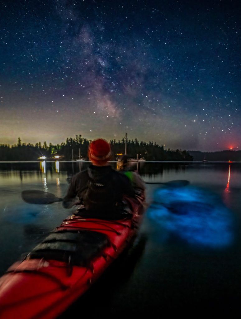 Bioluminescence Night Kayak Tour