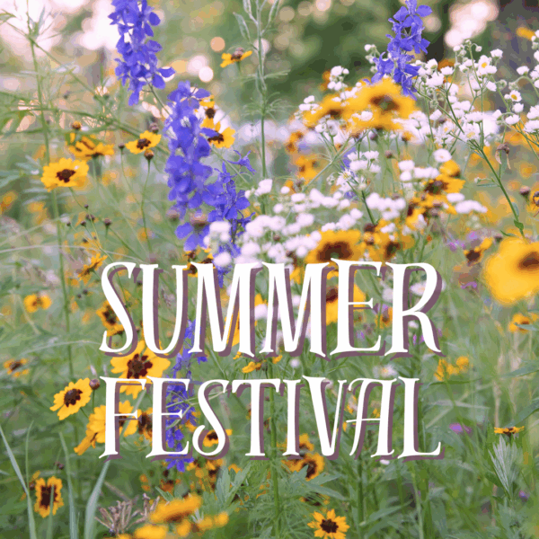 Summer Festival 1