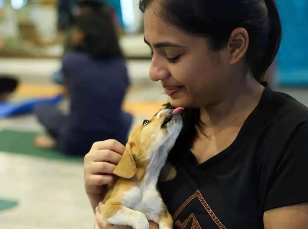 Puppy Yoga 1