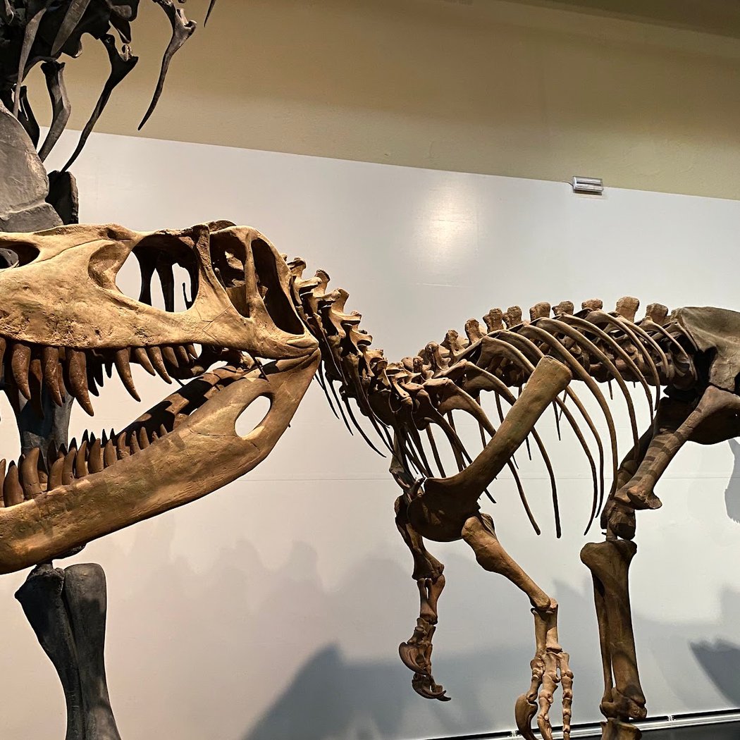 Museo Nacional de Ciencias Naturales