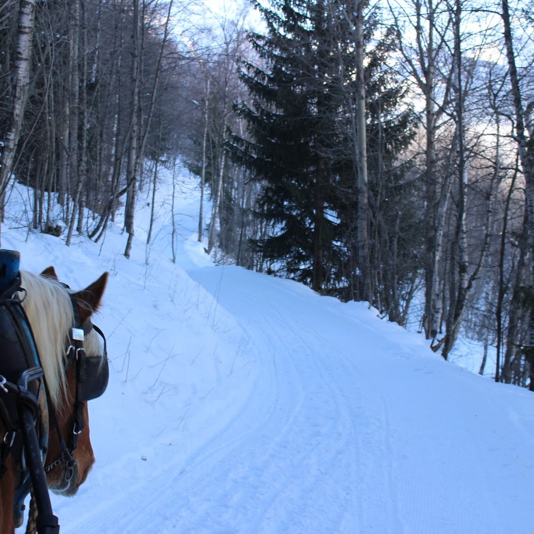 Promenade en traineau a cheval 2 alpes 3