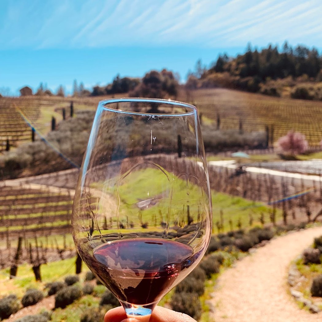A Rafanelli Winery 3