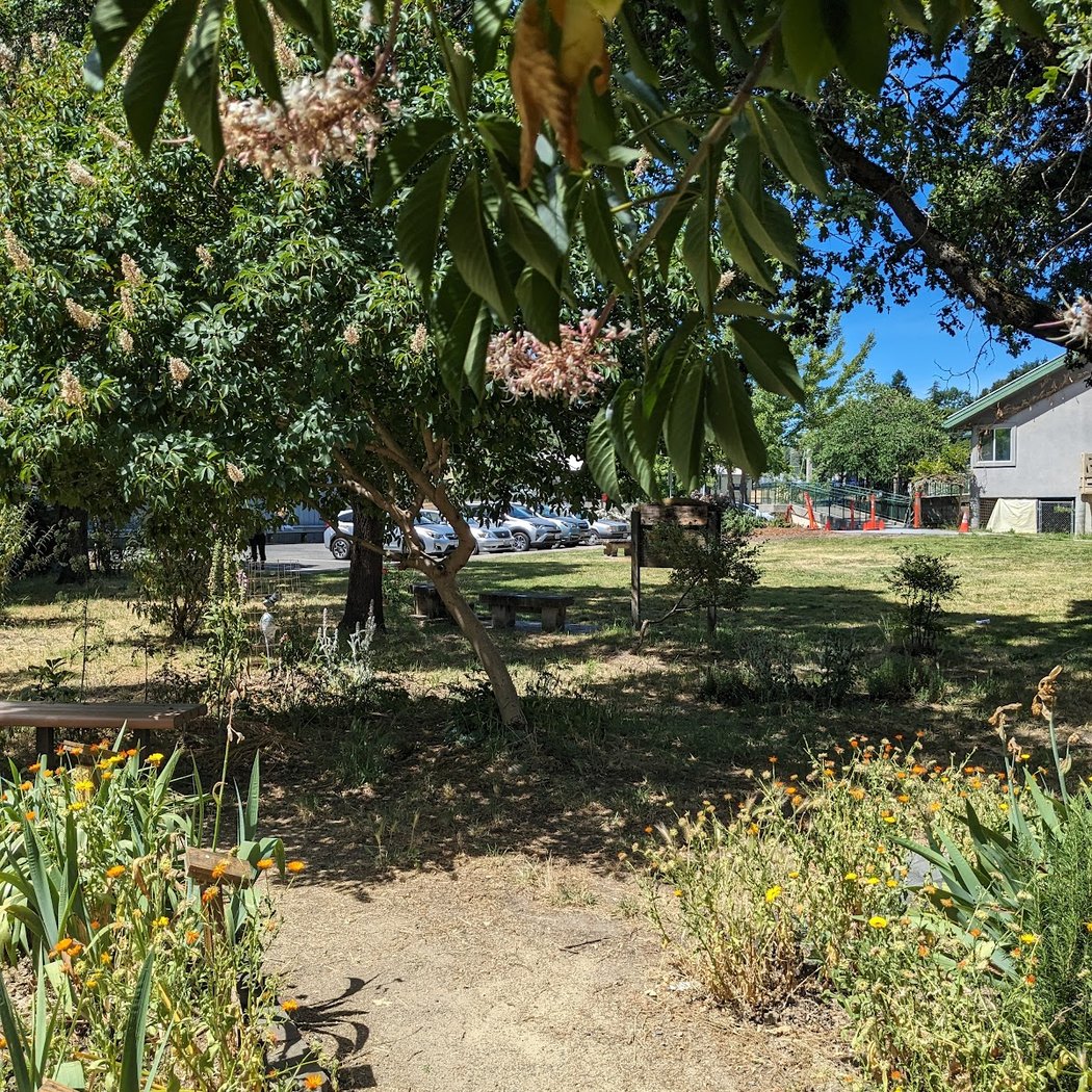 Sebastopol Peace Garden 3