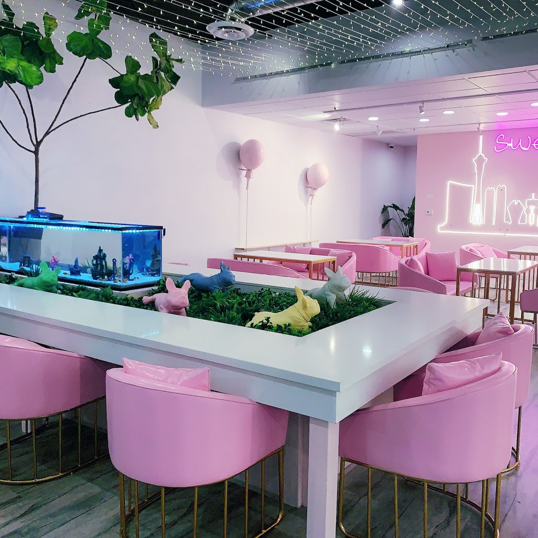 Pink Cactus Tea 2