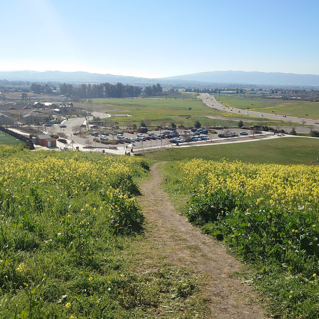Cayetano Park Hiking trails 2