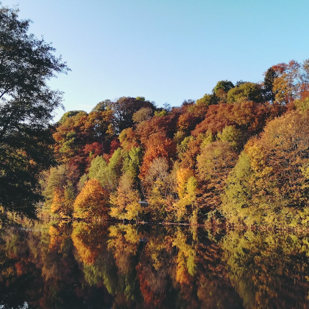Voie Verte Trans-Ardennes 1
