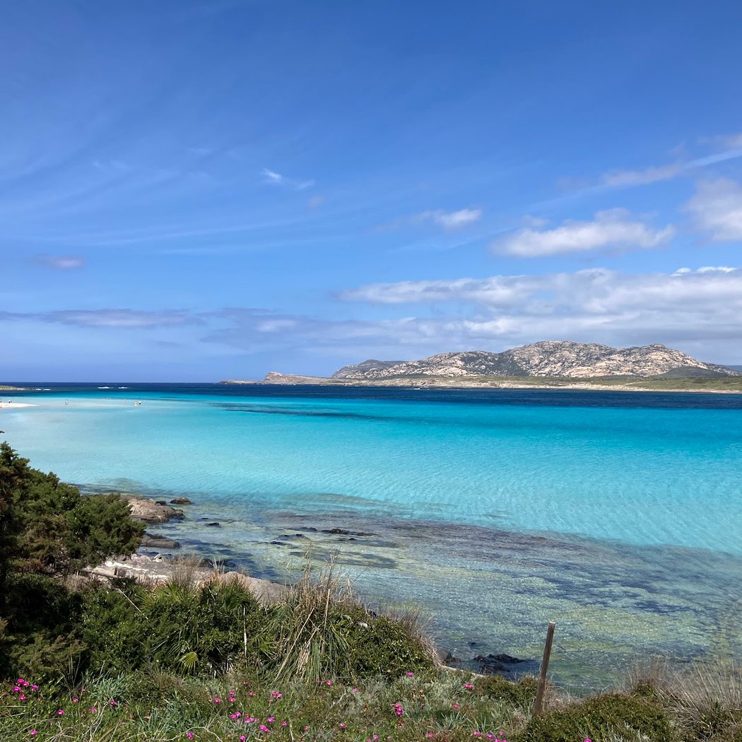 Spiaggia La Pelosa 1