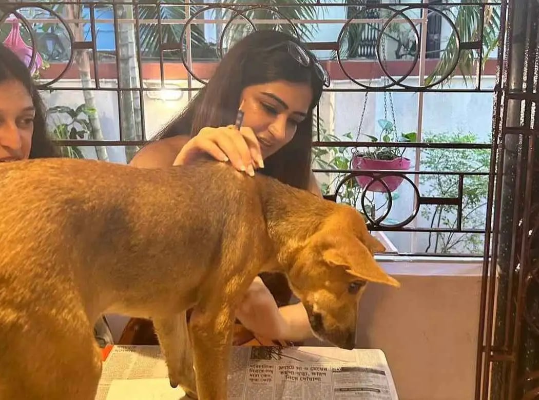 Bangalore Board Game with Puppies 2