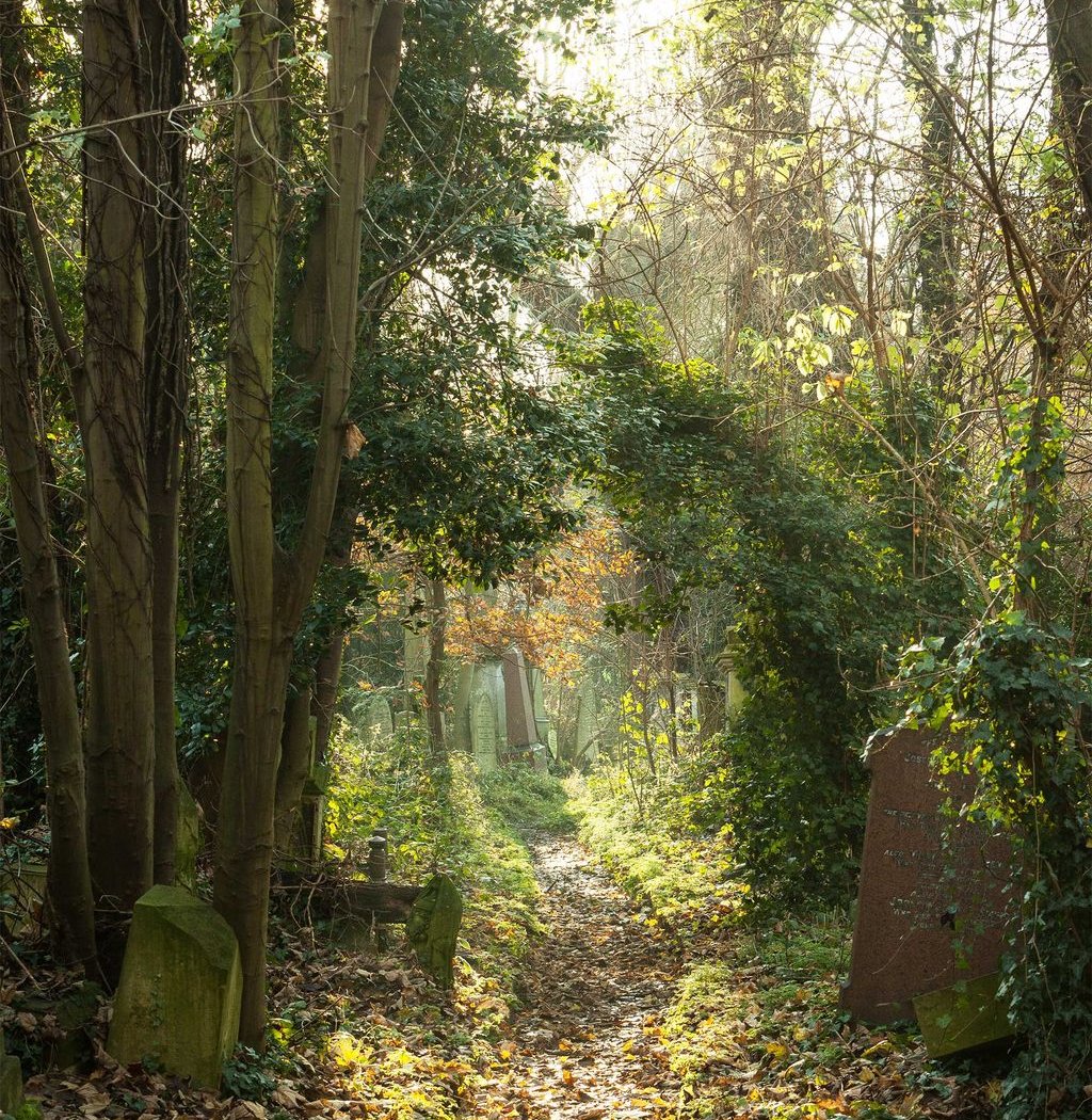 Abney Park Cemetery Trust 1