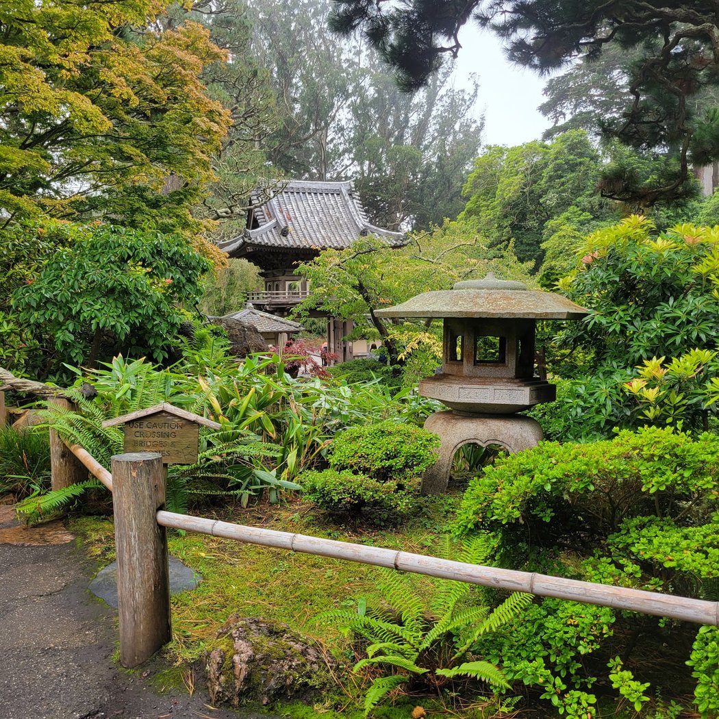 Japanese Tea Garden's Free Admission Hour 2