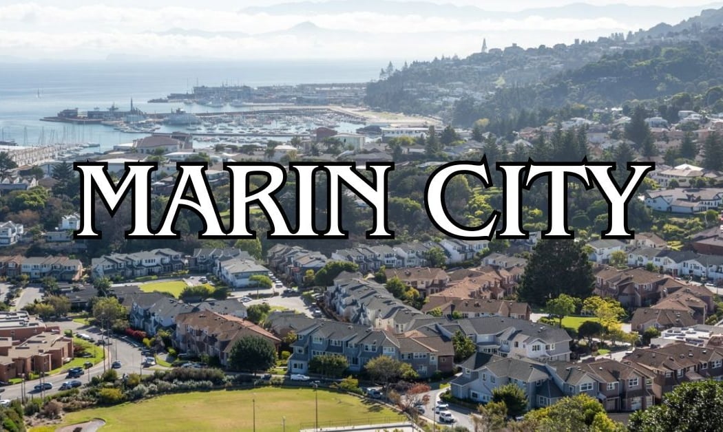 Marin City Library 2