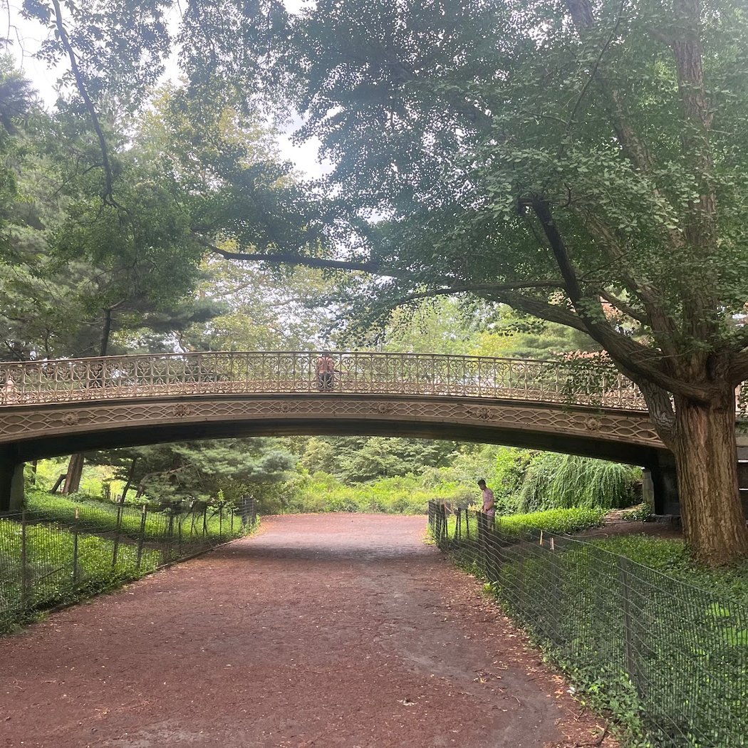 Pinebank Arch 2