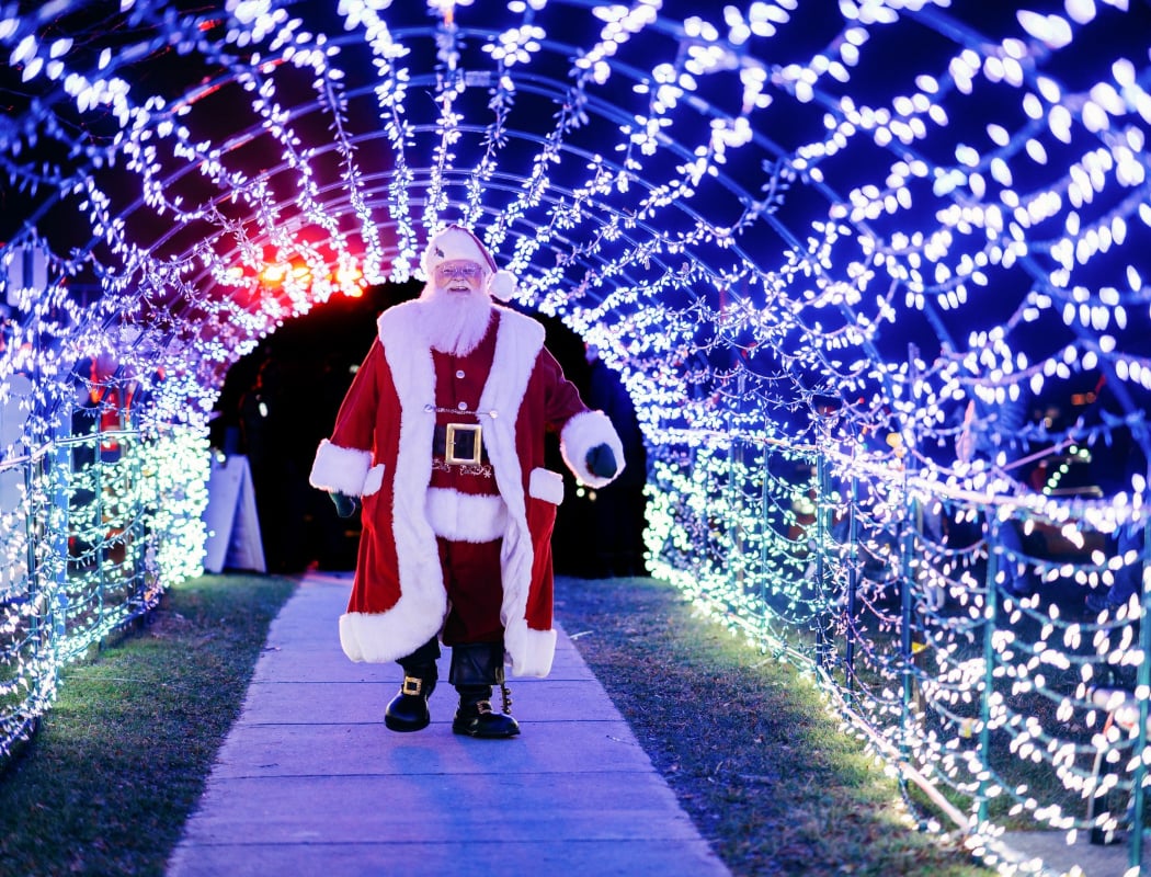 Grand Blanc Tree Lighting 1