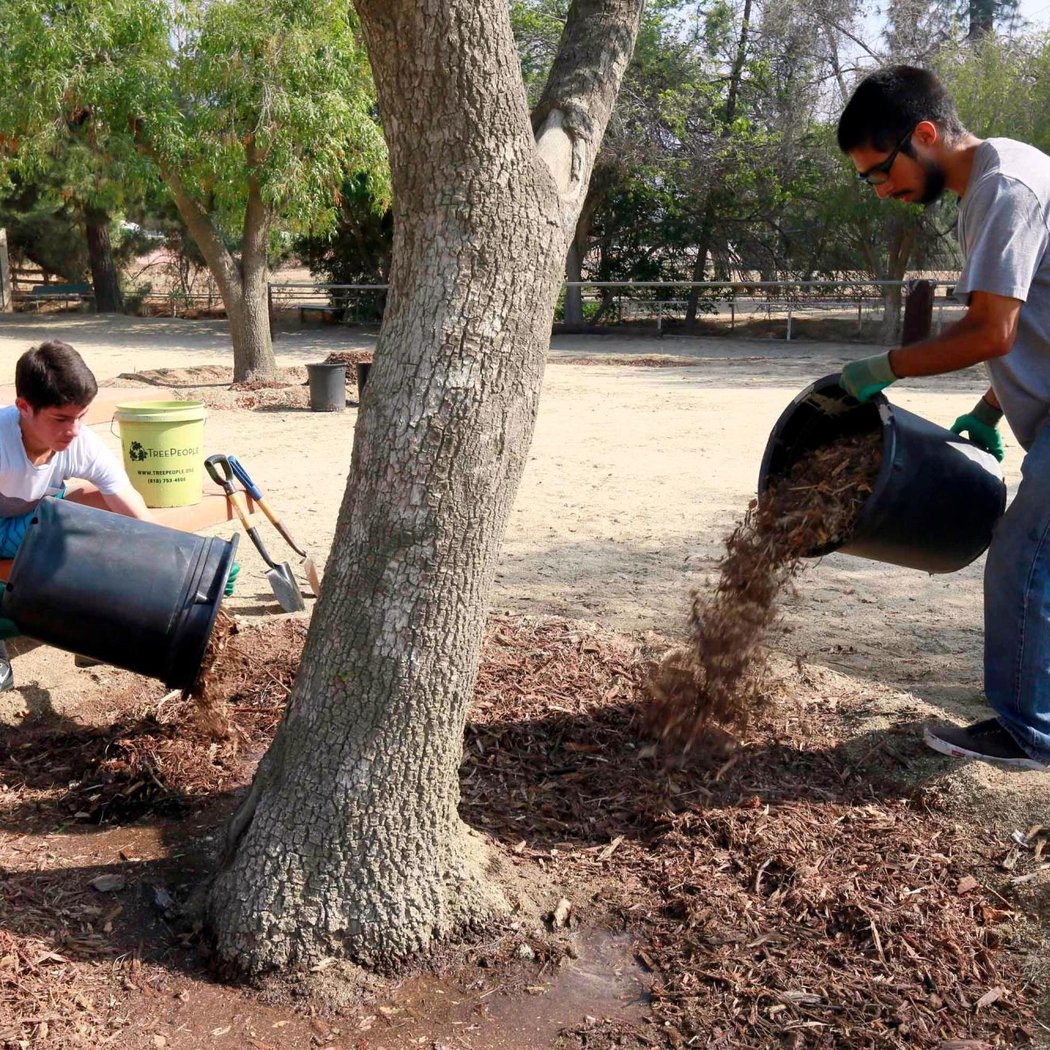 Mulching and Weeding Near Green Lake 1