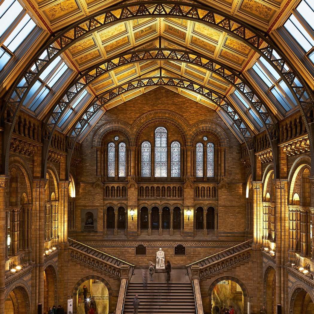 Natural History Museum 2