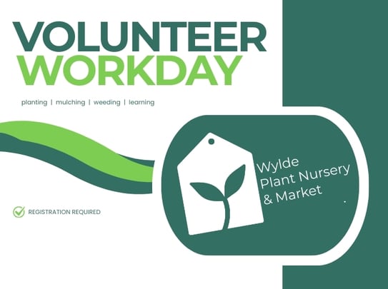 Volunteer Opportunity: Plant Nursery & Market
