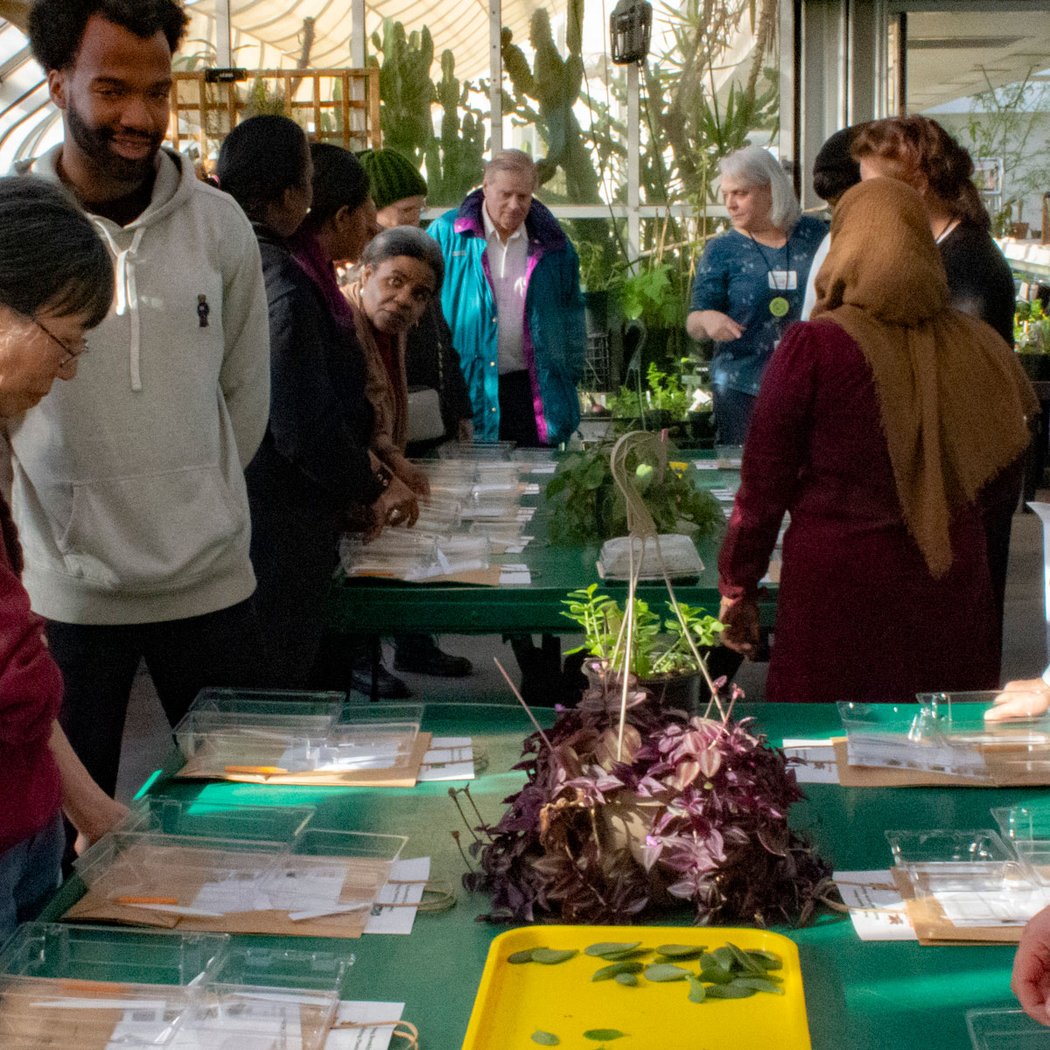 Making Brooklyn Bloom 2026 1