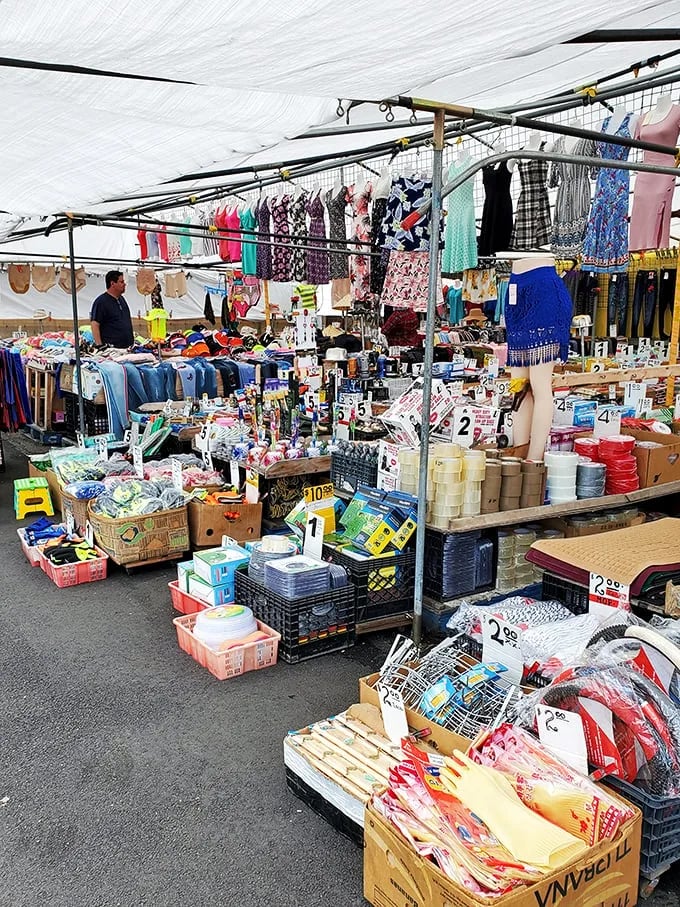 AquaDuck FleaMarket 2