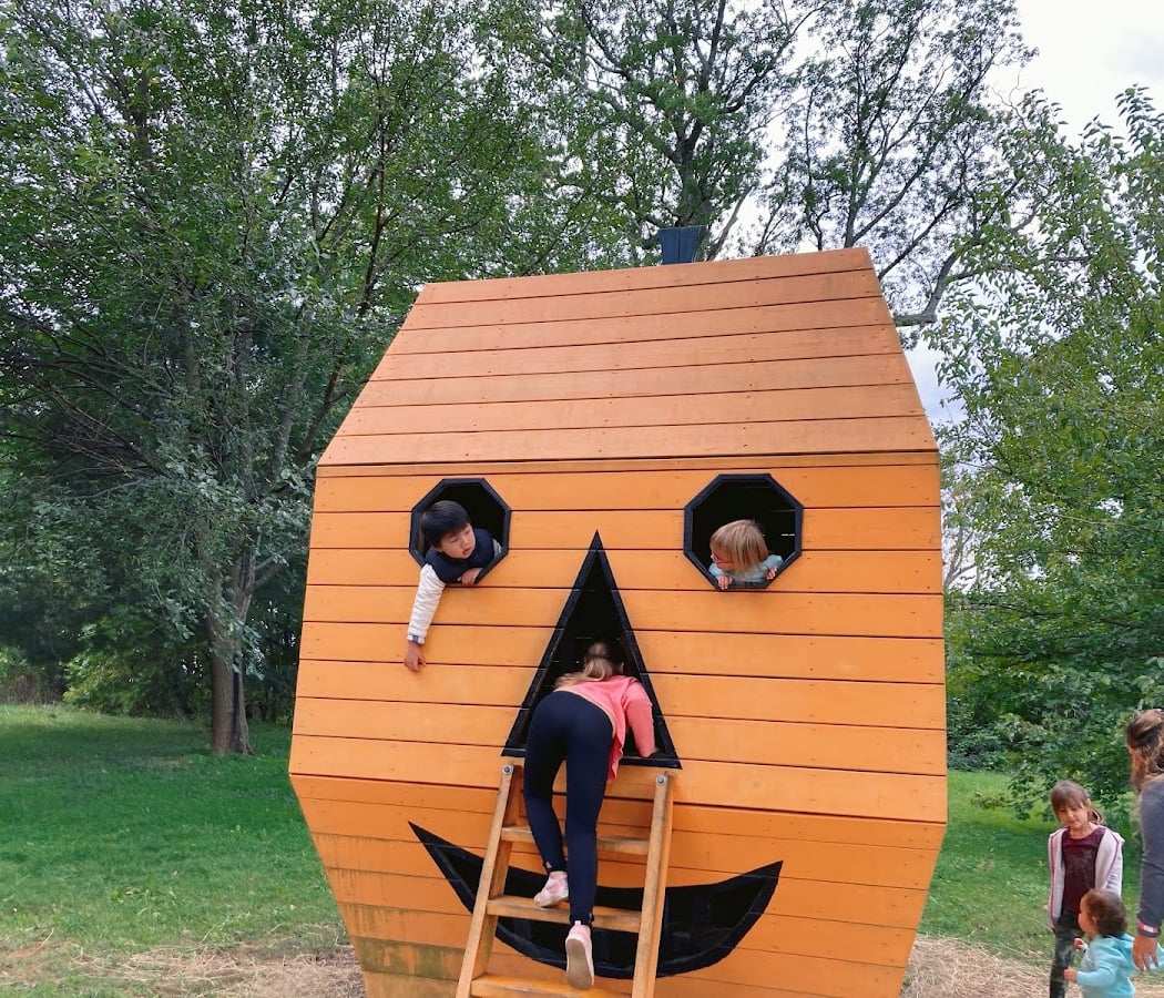 Fall Pumpkin Harvest Festival 4