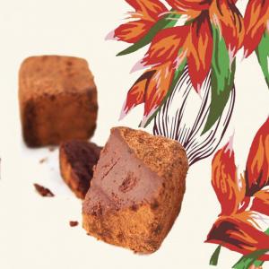 Atelier Fabriquez vos truffes 1