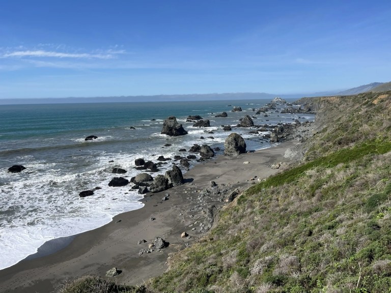 Shell Beach 2