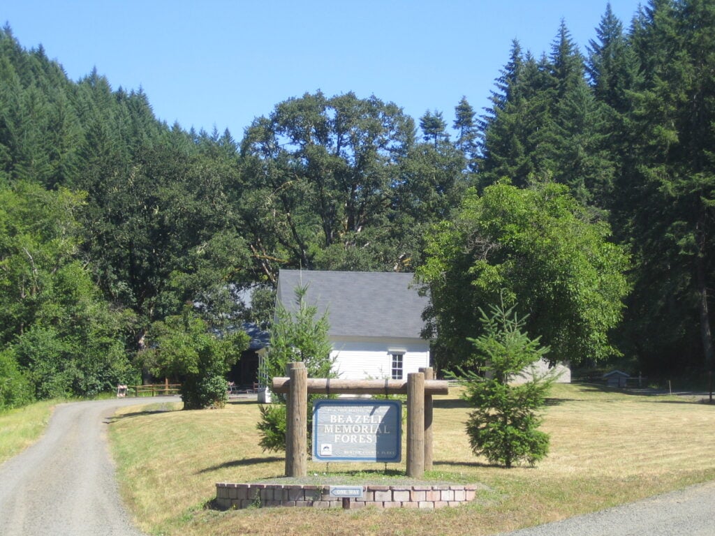 Beazell Memorial Forest 3