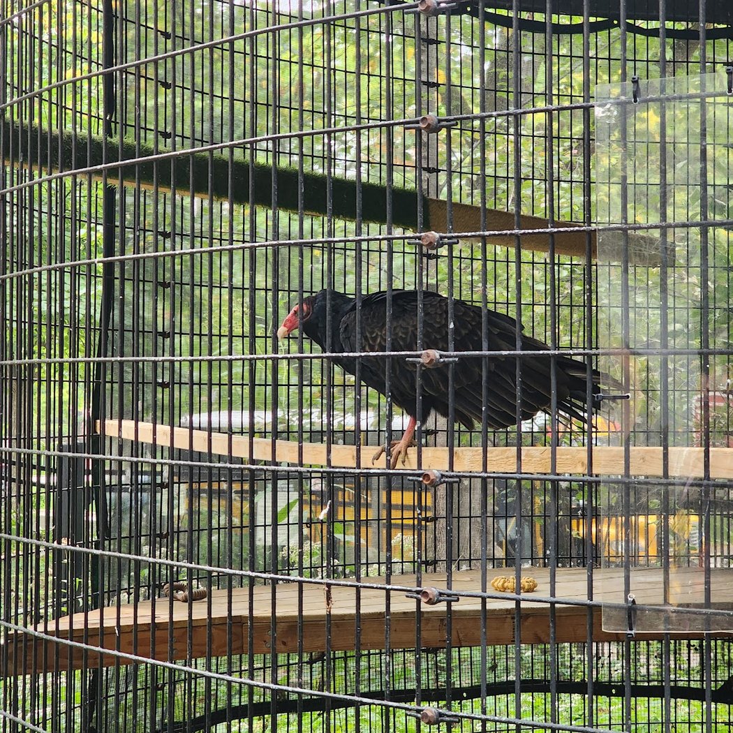 Trailside Museum of Natural History 3