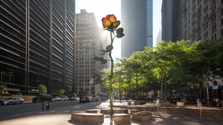 Zuccotti Park 1