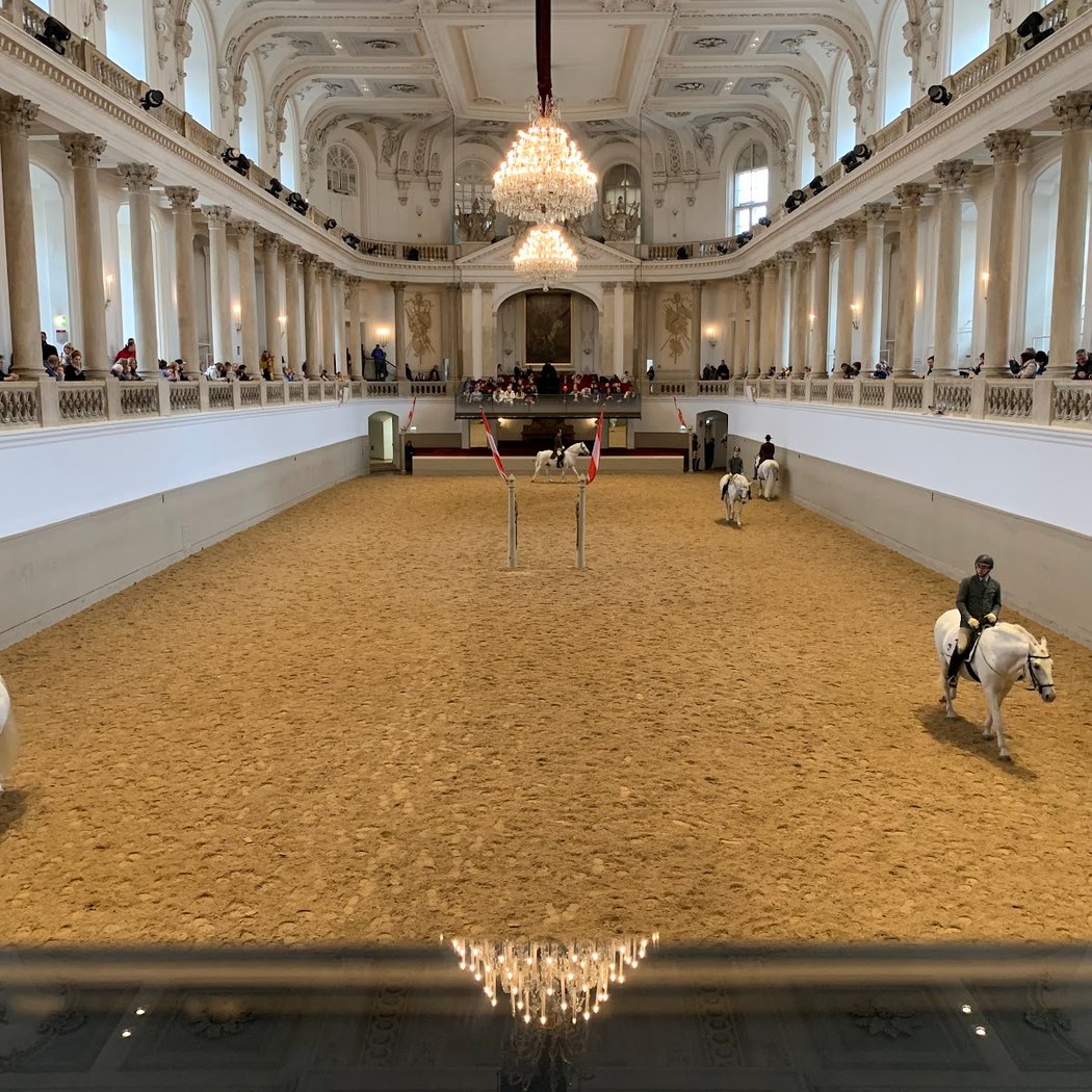 Spanish Riding School 3