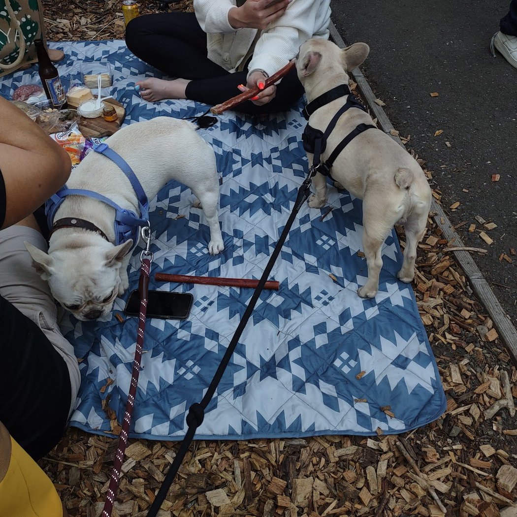 Calistoga Christmas Faire 2