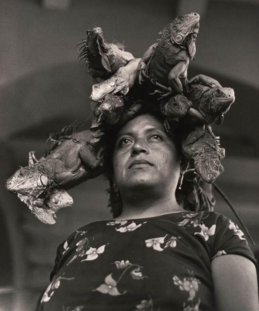 Graciela Iturbide: Between Two Worlds 1