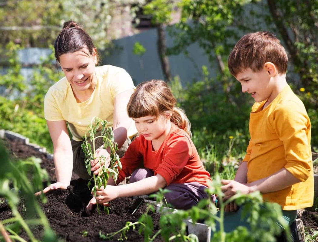 Helping Hands Gardening 2