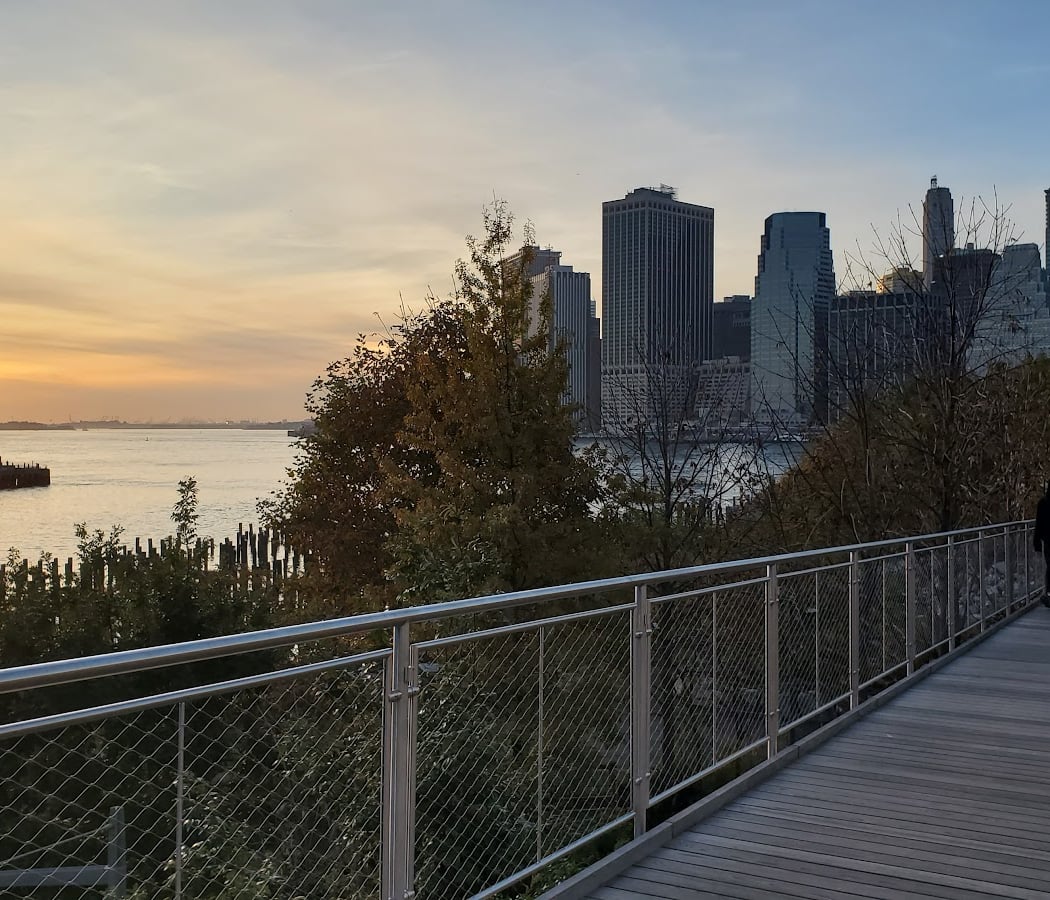 Squibb Park Bridge 4