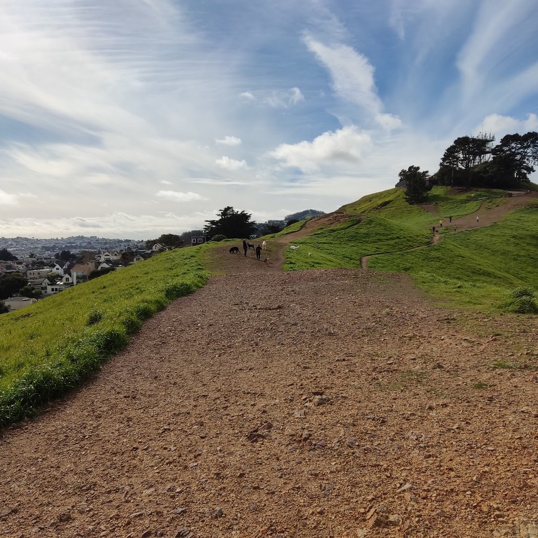 Bernal Heights Dog Play Area 1