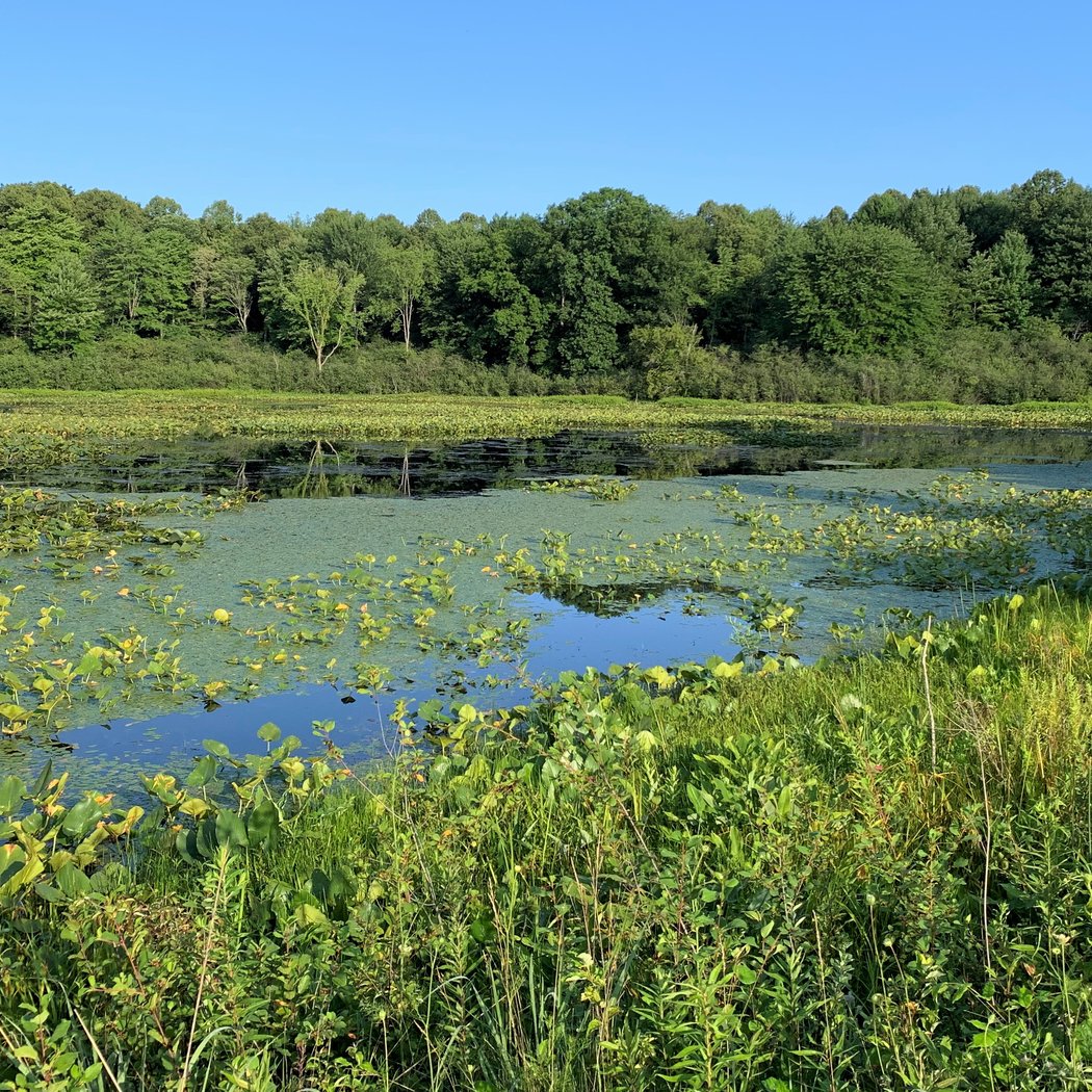 Aurora Sanctuary State Nature Preserve 2