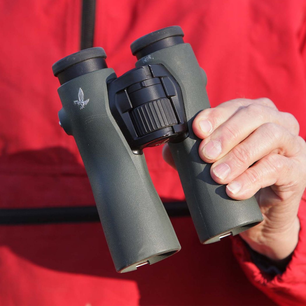 Bird Walk