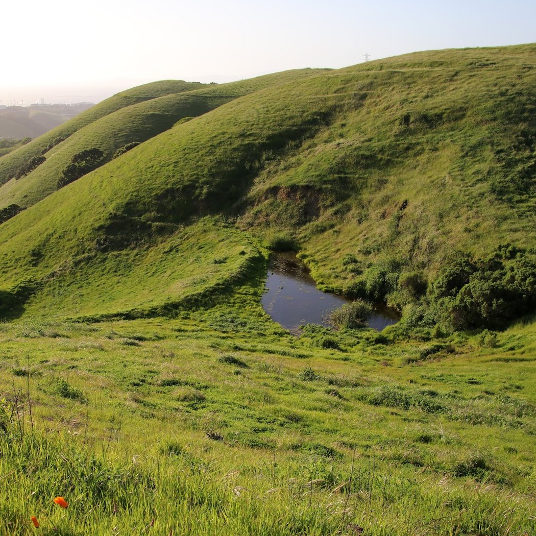 Crockett Hills Regional Park Staging Area 3