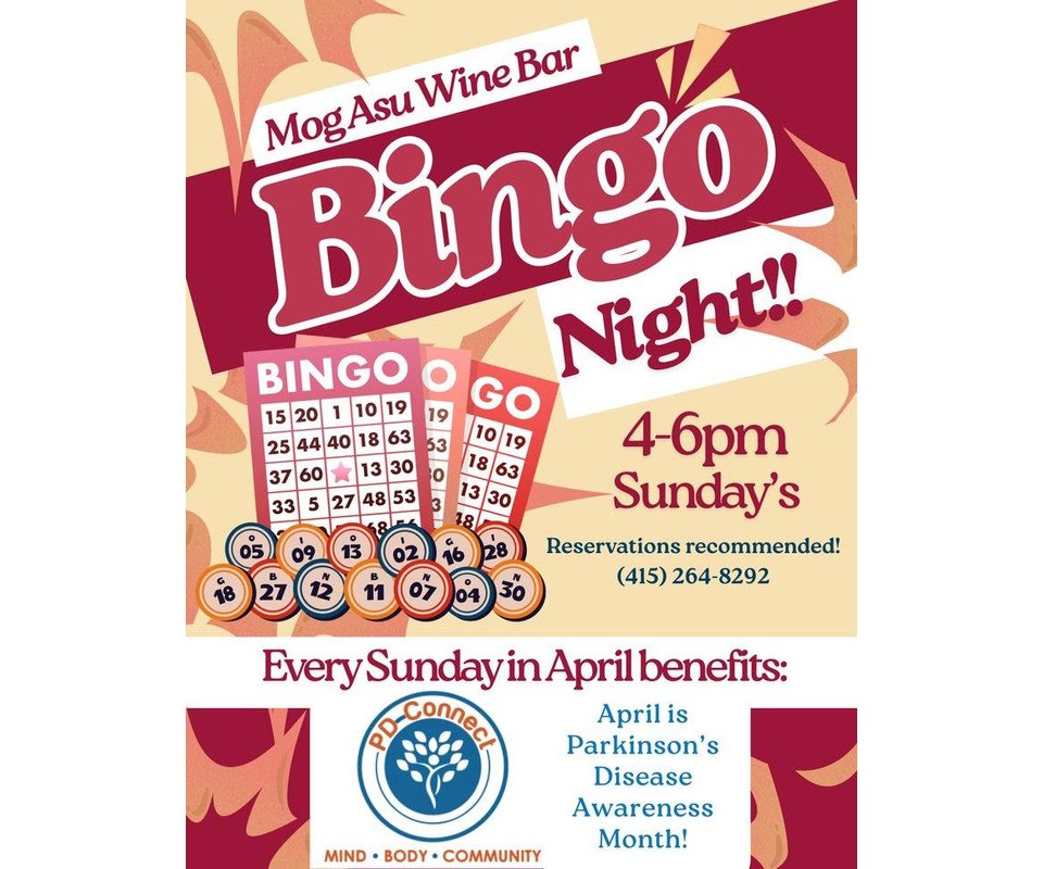 Bingo Nights for Charity 1