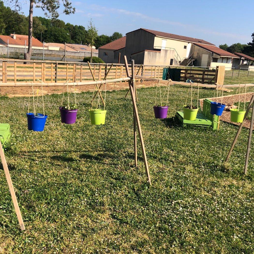 Atelier potager : gérer les cultures de son potager 2